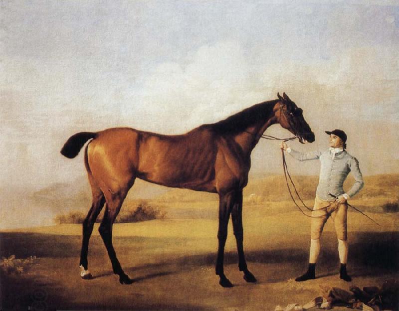 George Stubbs Molly Longlegs with Jockey oil painting picture